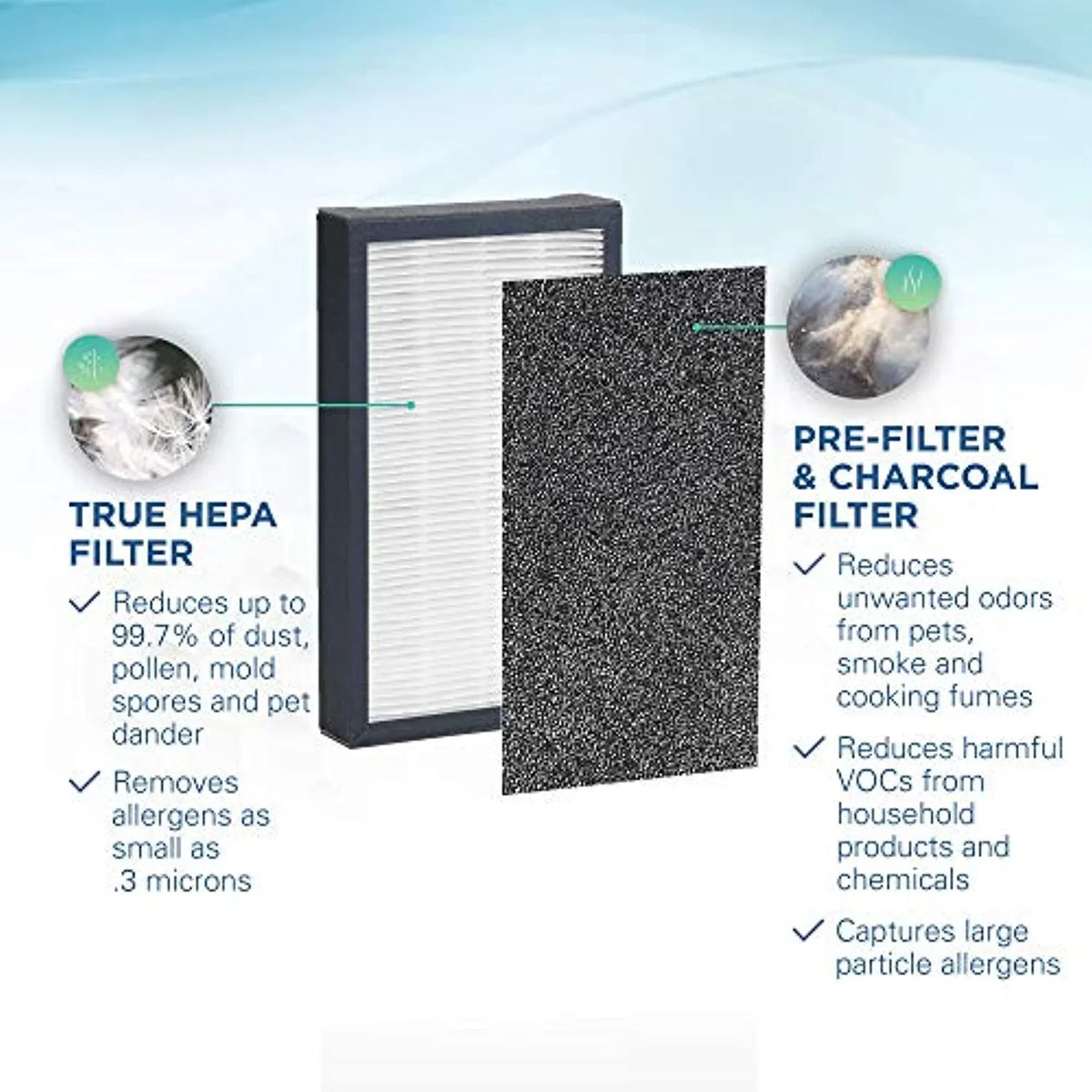Germ Guardian® HEPA GENUINE Replacement Filters for Air Purifier, FLT41002PK