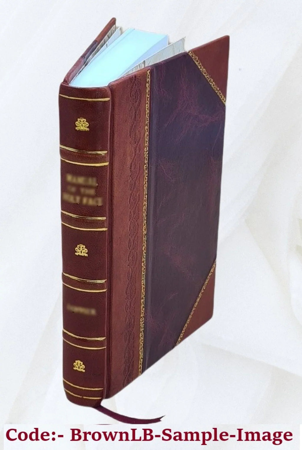 Scalpel : the 1911 yearbook of the Woman's Medical College of Pennsylvania Volume 1911 1911 [Leather Bound]