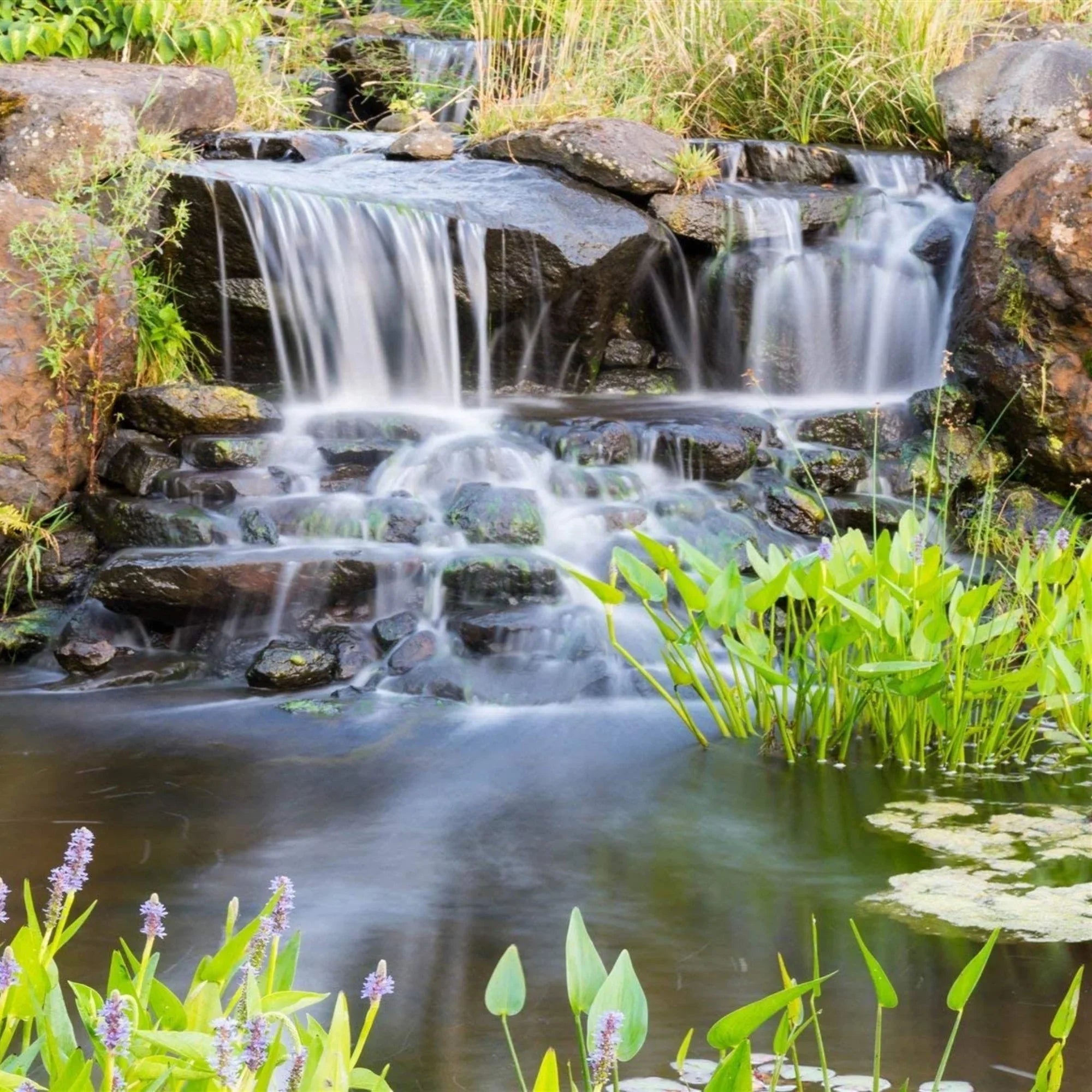 HALF OFF PONDS Piranha Series 5,500 GPH Direct Drive Submersible Pump for Water Gardens, Ponds and Waterfalls - PN-5500