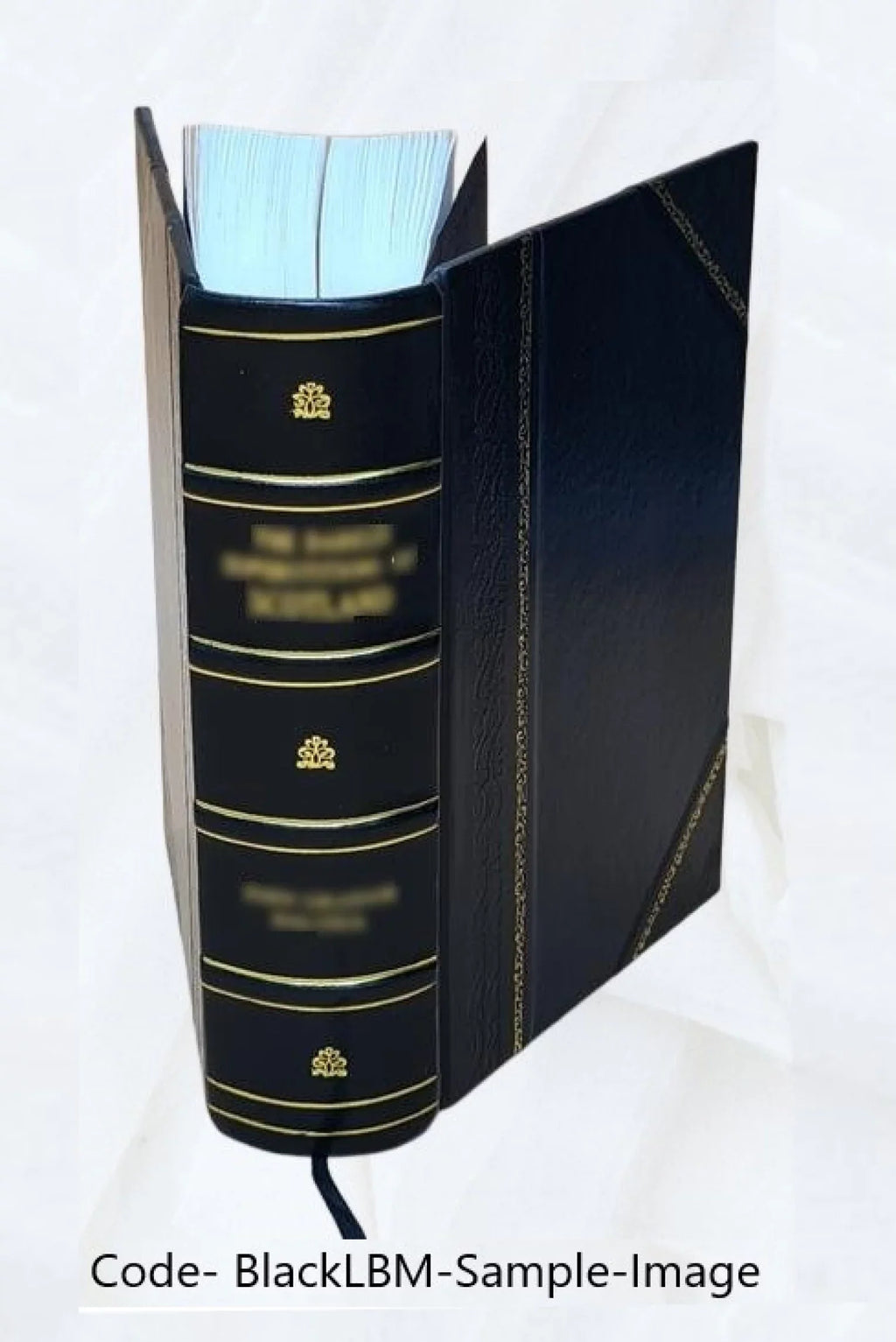 Marca Hispanica sive Limes hispanicus : hoc est, Geographica & historica descriptio Cataloniae, Ruscinonis, & circumjacentium populorum / auctore illustrissimo viro Petro de Marca