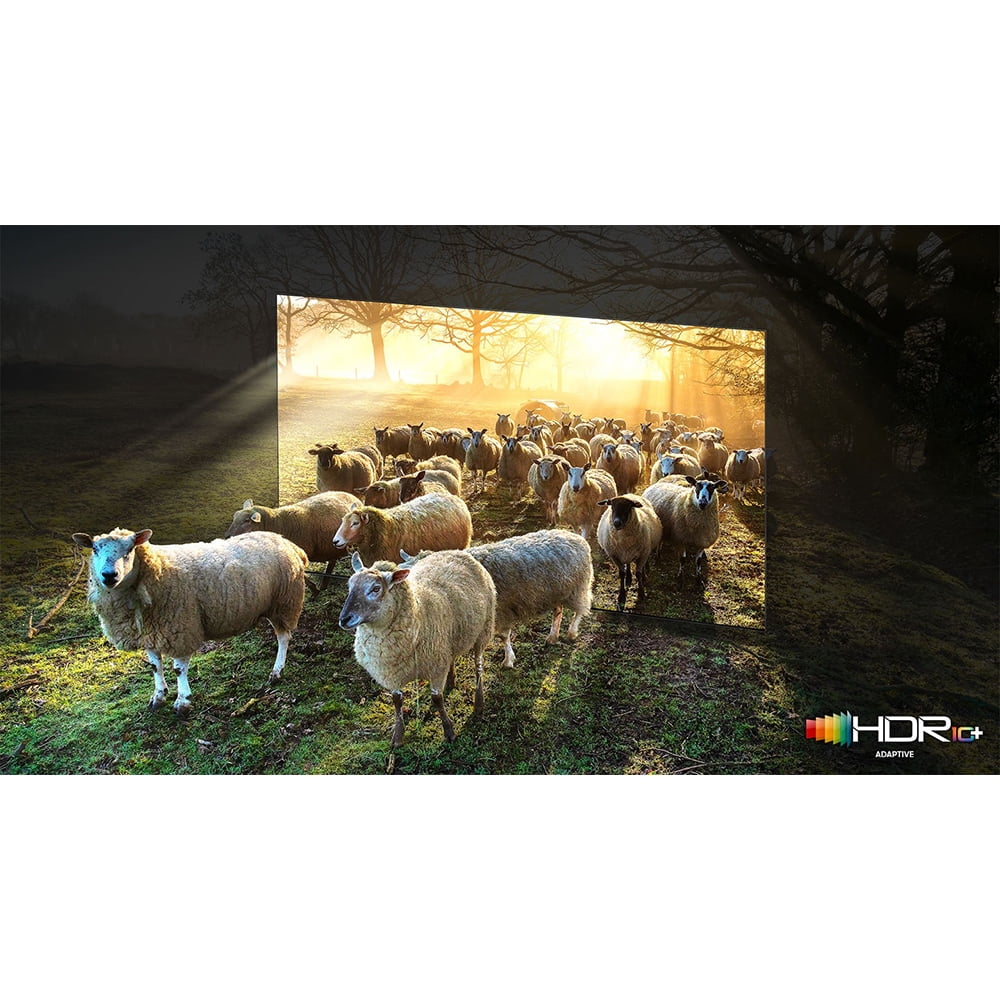 Restored Samsung QN75QN900A 75 Inch Neo QLED 8K Smart TV (2021) Bundle with 2 Year Premium Extended Protection Plan (Refurbished)