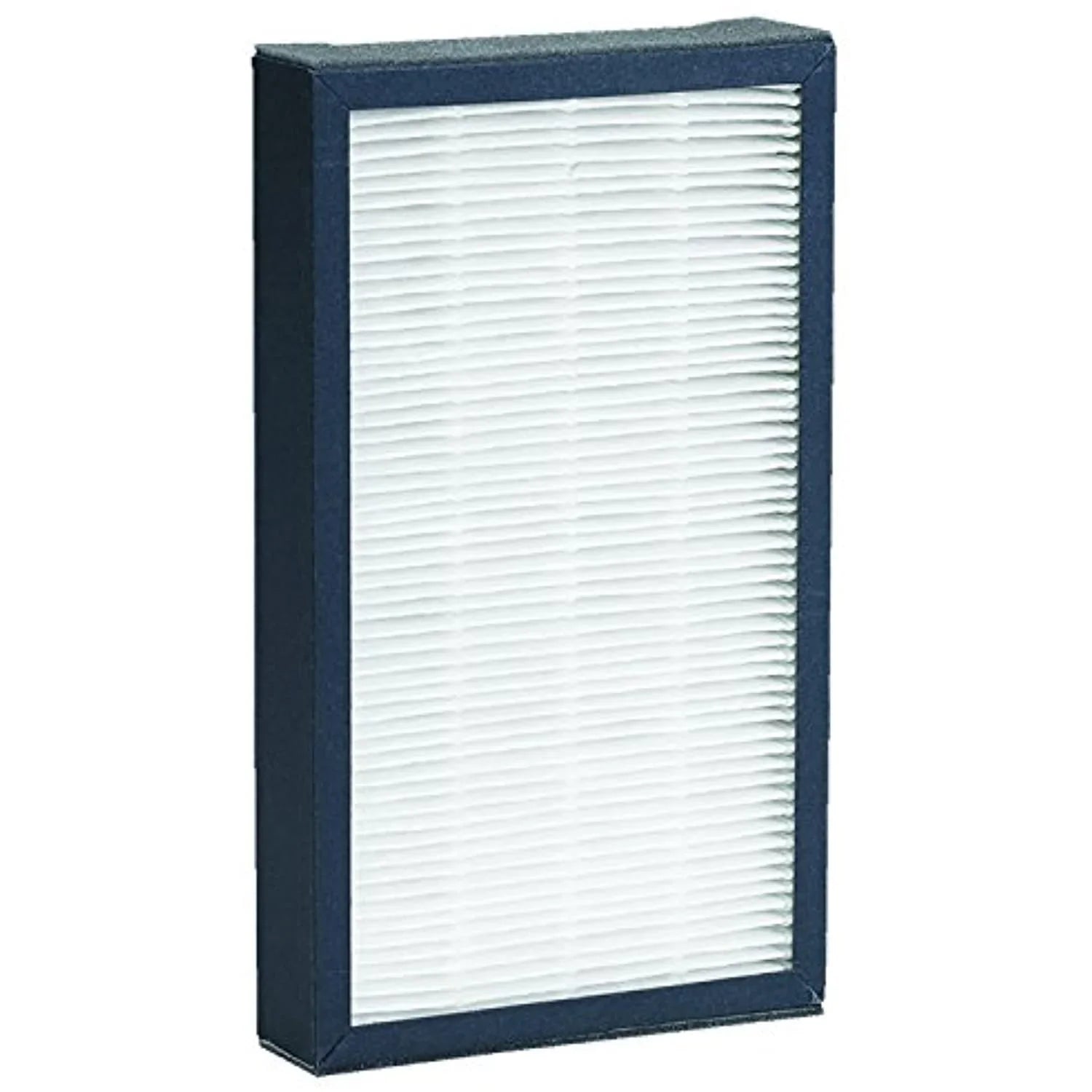 Germ Guardian® HEPA GENUINE Replacement Filters for Air Purifier, FLT41002PK