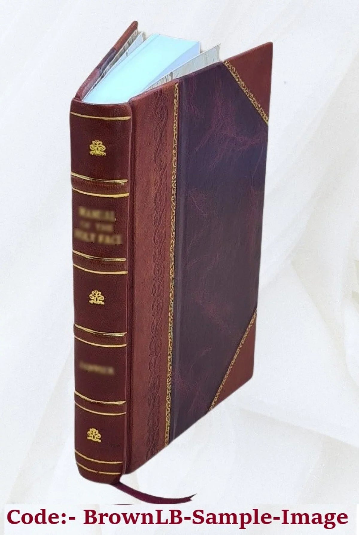 Lezioni fatte sulle strade di ferro nel 18331834 alla scuola di ponti e strade da M. Minard 1840 [Leather Bound]