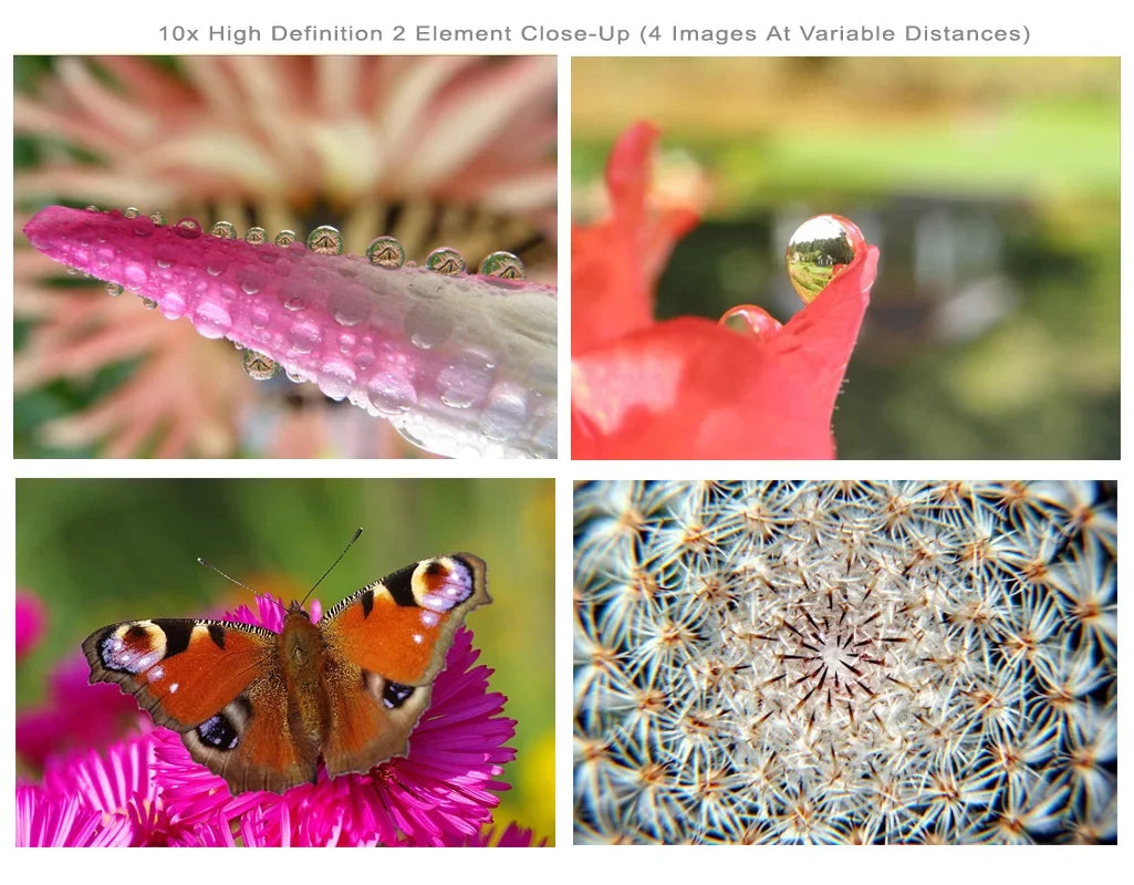 Olympus PEN E-PL7 10x High Definition 2 Element Close-Up (Macro) Lens (58mm)