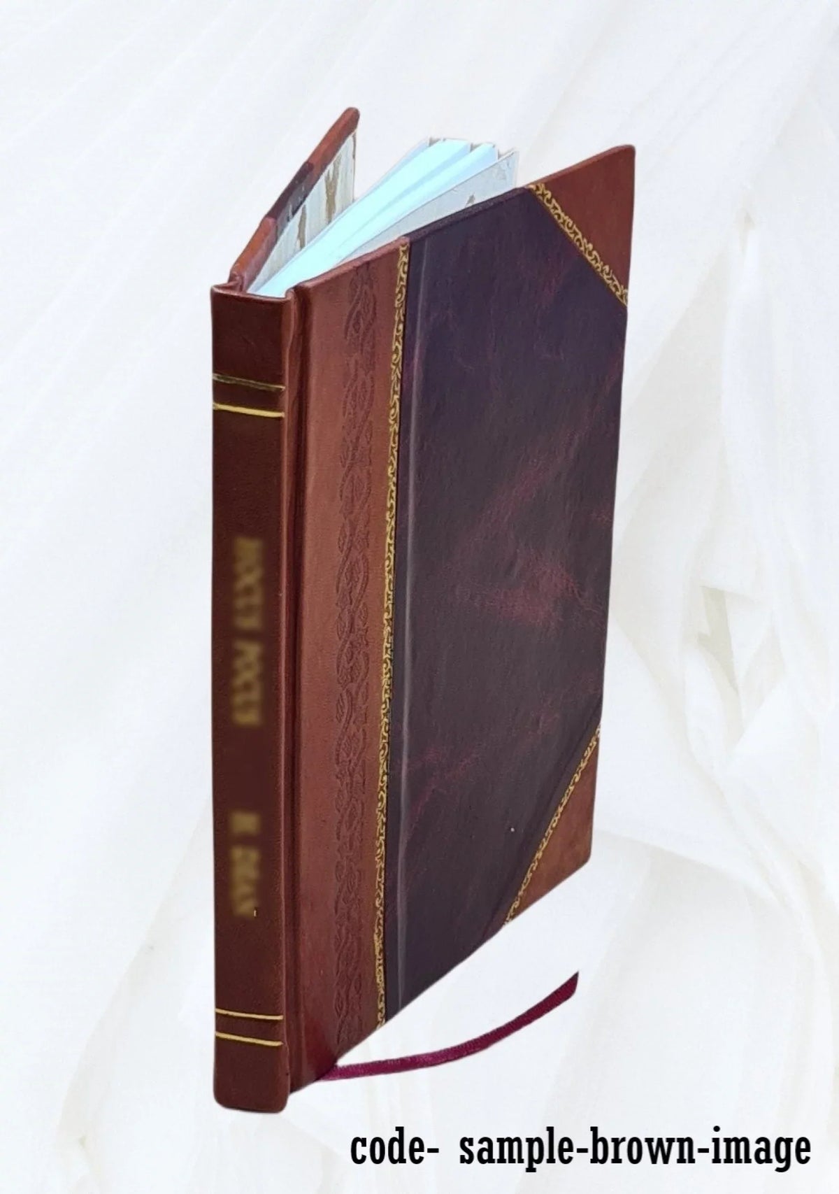 Epistolaris Commercii M. Berneggeri Cum Viris Eruditione Claris, Fasciculus Secundus 1670 [Leather Bound]